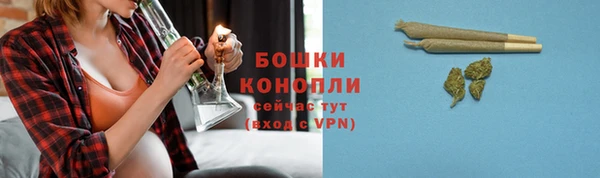бошки Алексин