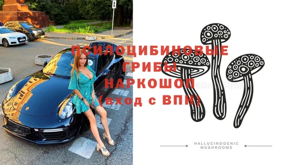 a pvp Алексеевка