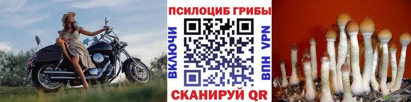 Псилоцибиновые грибы Magic Shrooms  Далматово 